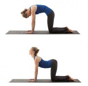 Marjaryasana and Bitilasana