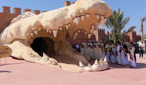 Agadir : le croco-parc a ouvert ses portes 3