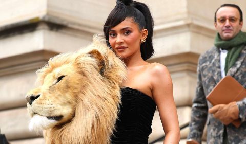 Kylie-Jenner-lion