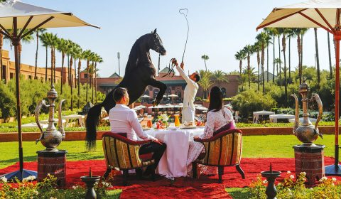 SELMAN-MARRAKECH-Signature-breakfast---Stallions-presentation