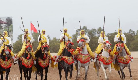 Salon-du-Cheval-EL-JADIDA8