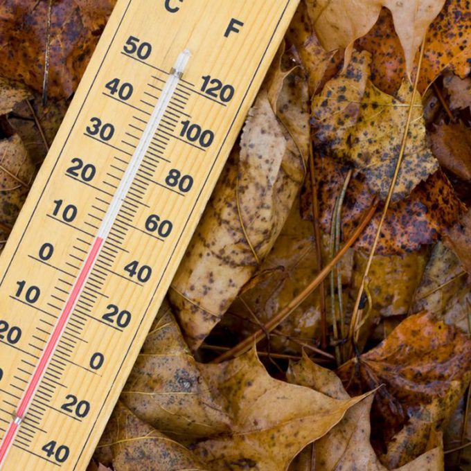 automne-thermometre-meteo-temperatures-a39e6b-0@1x