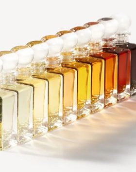 BALENCIAGA-FRAGRANCES_FULL-COLLECTION