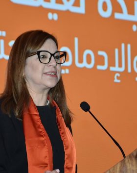 campagne-nationale-de-lutte-contre-la-violence-faite-aux-femmes