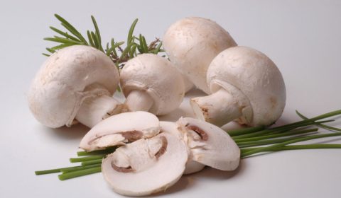 champignons