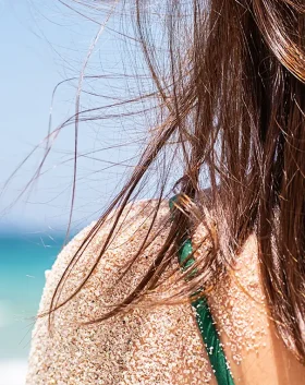 Cheveux deshydrates
