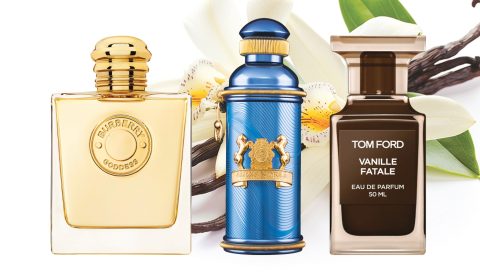 parfums-vanille-article