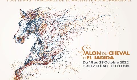 salon-du-cheval