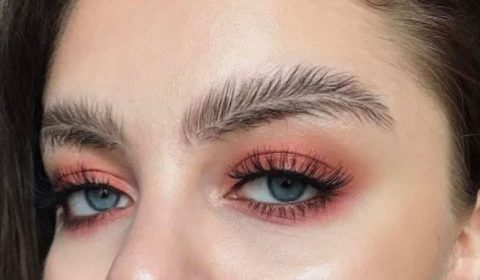 sourcils-plumes